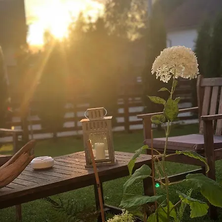 La Maison Des Reves - Bran Guest house