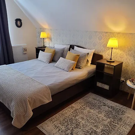 La Maison Des Reves - Bran Guest house *