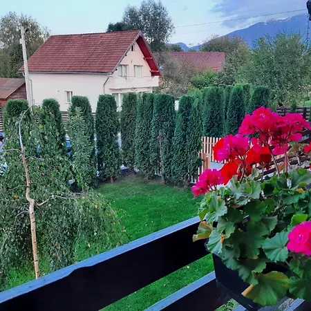 Guest house La Maison Des Reves - Bran *